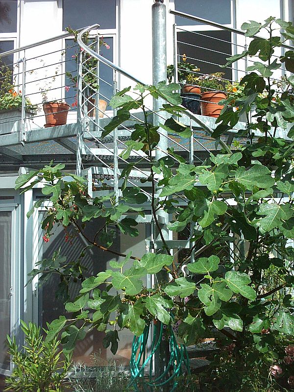 UnlandArchitektin.de Bauen im Bestand Sielwall 67